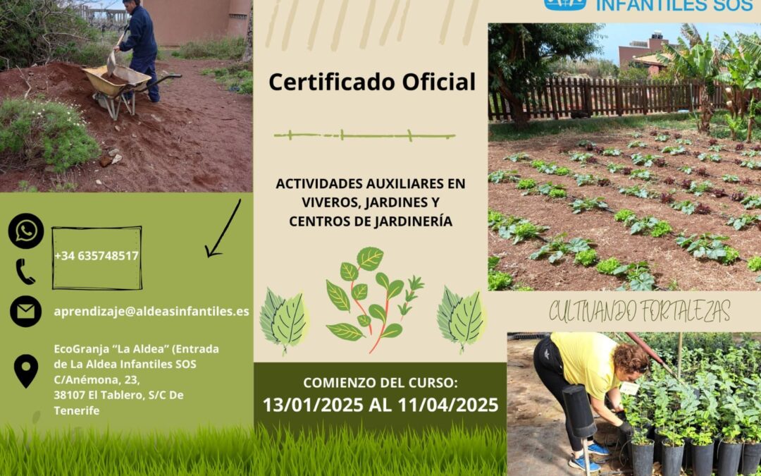 Curso de Actividades auxiliares en viveros, jardines y centros de jardinería en Tenerife